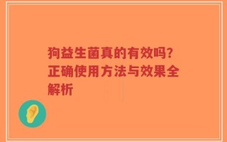 狗益生菌真的有效吗？正确使用方法与效果全解析