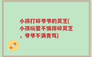 小孩打碎爷爷的灵芝(小孩玩耍不慎摔碎灵芝，爷爷不满责骂)