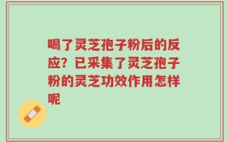 喝了灵芝孢子粉后的反应？已采集了灵芝孢子粉的灵芝功效作用怎样呢