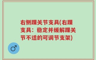 右侧踝关节支具(右踝支具：稳定并缓解踝关节不适的可调节支架)