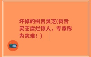 坏掉的树舌灵芝(树舌灵芝腐烂惊人，专家称为灾难！)