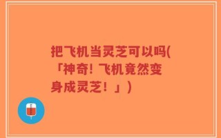 把飞机当灵芝可以吗(「神奇! 飞机竟然变身成灵芝！」)