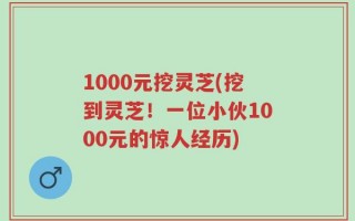 1000元挖灵芝(挖到灵芝！一位小伙1000元的惊人经历)
