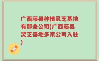 广西藤县种植灵芝基地有那些公司(广西藤县灵芝基地多家公司入驻)