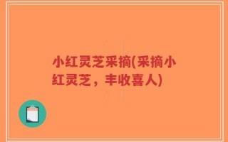 小红灵芝采摘(采摘小红灵芝，丰收喜人)