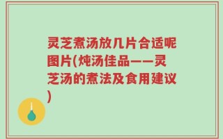 灵芝煮汤放几片合适呢图片(炖汤佳品——灵芝汤的煮法及食用建议)