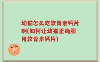 幼猫怎么吃软骨素钙片啊(如何让幼猫正确服用软骨素钙片)