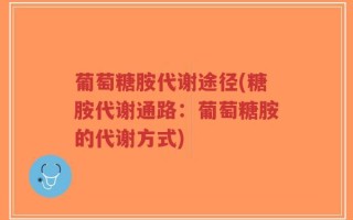 葡萄糖胺代谢途径(糖胺代谢通路：葡萄糖胺的代谢方式)