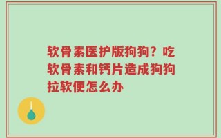 软骨素医护版狗狗？吃软骨素和钙片造成狗狗拉软便怎么办