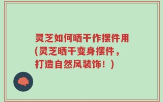 灵芝如何晒干作摆件用(灵芝晒干变身摆件，打造自然风装饰！)