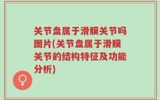 关节盘属于滑膜关节吗图片(关节盘属于滑膜关节的结构特征及功能分析)