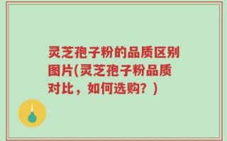 灵芝孢子粉的品质区别图片(灵芝孢子粉品质对比，如何选购？)