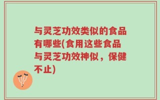 与灵芝功效类似的食品有哪些(食用这些食品与灵芝功效神似，保健不止)