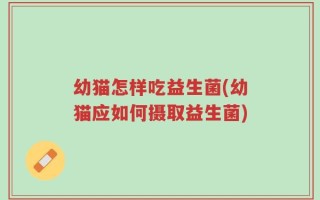 幼猫怎样吃益生菌(幼猫应如何摄取益生菌)