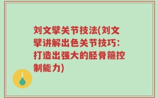 刘文擘关节技法(刘文擘讲解出色关节技巧：打造出强大的胫骨箍控制能力)