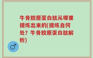 牛骨胶原蛋白肽从哪里提炼出来的(提炼自何处？牛骨胶原蛋白肽解析)