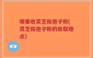 哪里收灵芝和孢子粉(灵芝和孢子粉的收取地点)