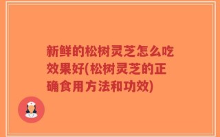 新鲜的松树灵芝怎么吃效果好(松树灵芝的正确食用方法和功效)