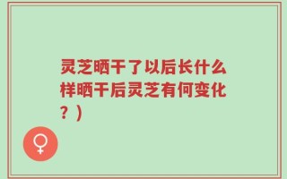 灵芝晒干了以后长什么样晒干后灵芝有何变化？)