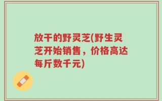 放干的野灵芝(野生灵芝开始销售，价格高达每斤数千元)