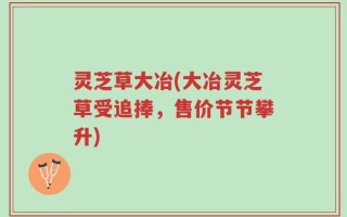 灵芝草大冶(大冶灵芝草受追捧，售价节节攀升)