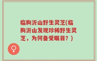 临朐沂山野生灵芝(临朐沂山发现珍稀野生灵芝，为何备受瞩目？)
