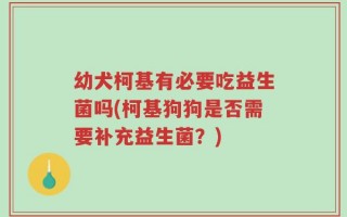幼犬柯基有必要吃益生菌吗(柯基狗狗是否需要补充益生菌？)