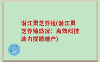 潜江灵芝养殖(潜江灵芝养殖盛况：高效科技助力提质增产)