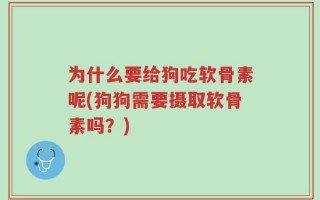 为什么要给狗吃软骨素呢(狗狗需要摄取软骨素吗？)