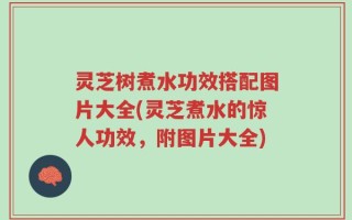灵芝树煮水功效搭配图片大全(灵芝煮水的惊人功效，附图片大全)