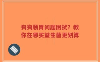 狗狗肠胃问题困扰？教你在哪买益生菌更划算