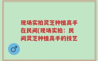 现场实拍灵芝种植高手在民间(现场实拍：民间灵芝种植高手的技艺