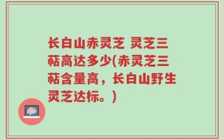 长白山赤灵芝 灵芝三萜高达多少(赤灵芝三萜含量高，长白山野生灵芝达标。)
