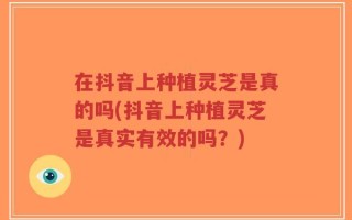 在抖音上种植灵芝是真的吗(抖音上种植灵芝是真实有效的吗？)