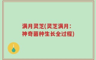 满月灵芝(灵芝满月：神奇菌种生长全过程)