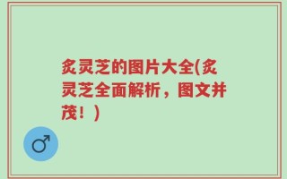 炙灵芝的图片大全(炙灵芝全面解析，图文并茂！)