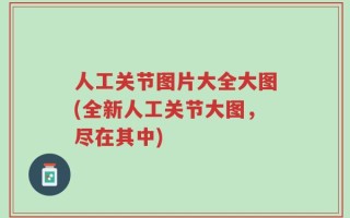 人工关节图片大全大图(全新人工关节大图，尽在其中)