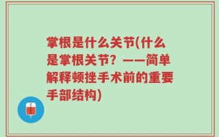 掌根是什么关节(什么是掌根关节？——简单解释顿挫手术前的重要手部结构)