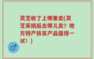 灵芝收了上哪里卖(灵芝采摘后去哪儿卖？地方特产扶贫产品值得一试！)