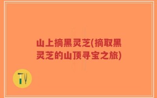 山上摘黑灵芝(摘取黑灵芝的山顶寻宝之旅)
