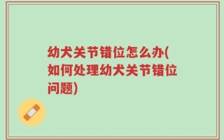 幼犬关节错位怎么办(如何处理幼犬关节错位问题)