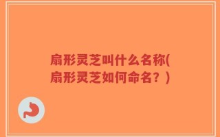 扇形灵芝叫什么名称(扇形灵芝如何命名？)