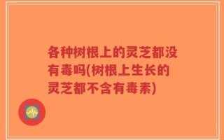 各种树根上的灵芝都没有毒吗(树根上生长的灵芝都不含有毒素)