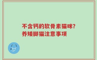 不含钙的软骨素猫咪？养矮脚猫注意事项