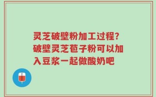灵芝破壁粉加工过程？破壁灵芝苞子粉可以加入豆浆一起做酸奶吧