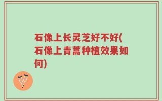 石像上长灵芝好不好(石像上青蒿种植效果如何)