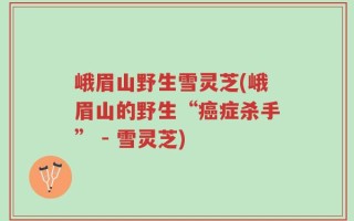 峨眉山野生雪灵芝(峨眉山的野生“癌症杀手” - 雪灵芝)