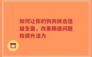 如何让你的狗狗挑选佳益生菌，改善肠道问题和提升活力