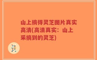 山上摘得灵芝图片真实高清(高清真实：山上采摘到的灵芝)