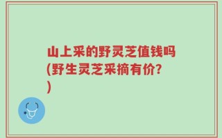 山上采的野灵芝值钱吗(野生灵芝采摘有价？)